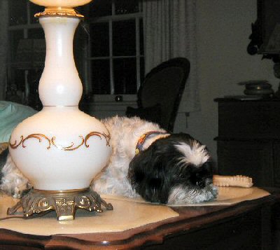 Table Katie sleeping