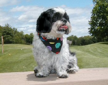 Tee Time...