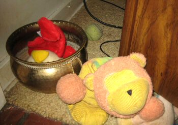 Tennis ball behind TV stand