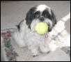 Wanna play?