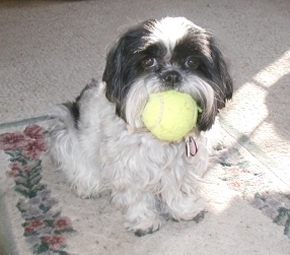 Wanna play?