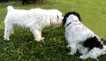 Thomas and Katie
