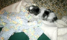 Toasty warm...blankets