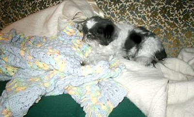 Toasty warm...blankets