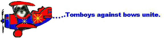 Tomboys against bows