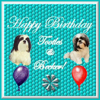 Becker & Tootles Birthday