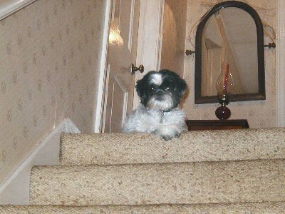 Top of stairs