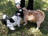 Benji, Katie...treats