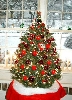 CTree