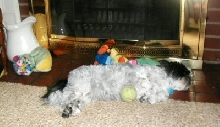 Tuckered out....fireplace