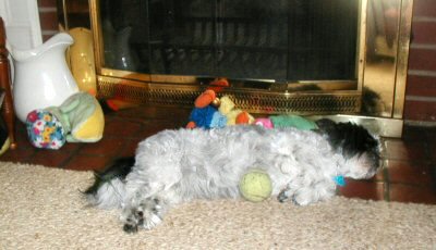 Tuckered out....fireplace