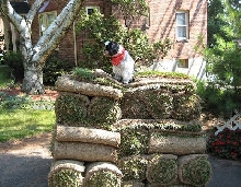Turf Katie