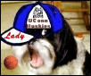 Katie..UConn Lady Husky fan..