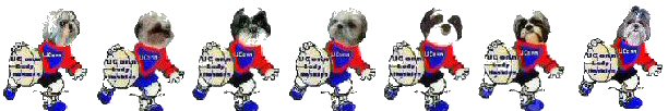 UConn cheerleaders 2006