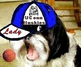 UConn Katie face