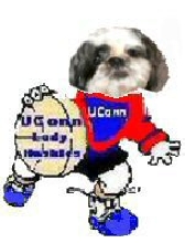 Sissy UConn cheerleader