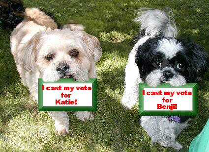 Voting...