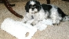 Paper towels