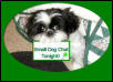 Small Dog Chat