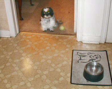 Well, where's my supper...
