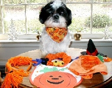 What to wear two...Halloween