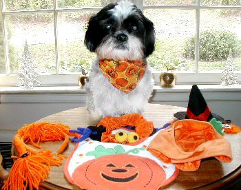 What to wear two...Halloween