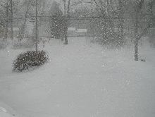 White out....