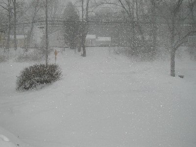 White out....