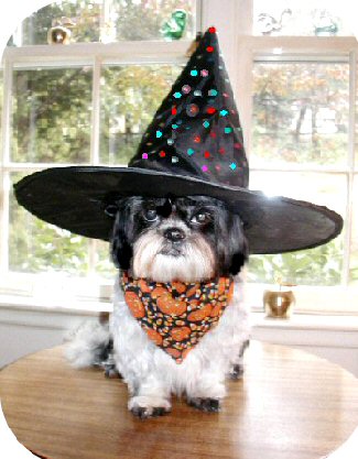 Witch Katie N