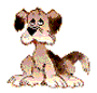 Anim dog