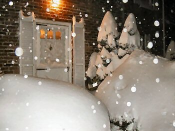 blizzard