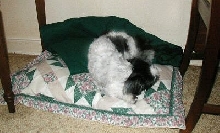 Pillow...buffet