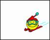 Skier