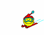 Skier