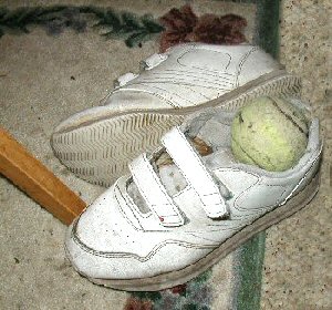 Sneakers...tennis ball