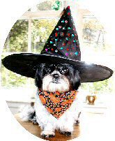 witchnsig