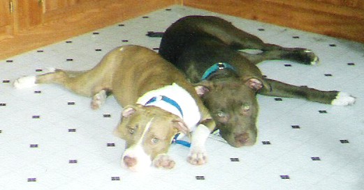 best friends