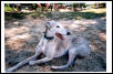 Billy on vacation 2001