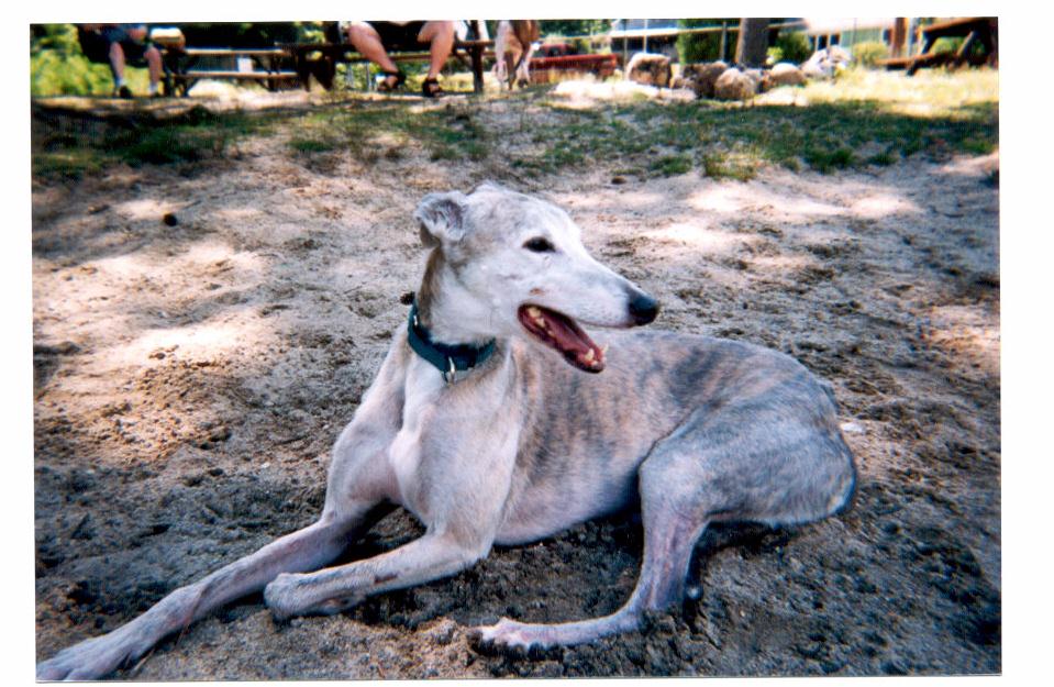 Billy on vacation 2001