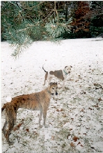 Nettie and Sammy
