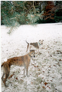 Nettie and Sammy