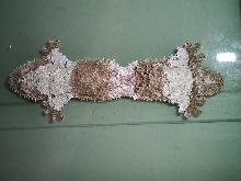 female mossy, symetrical