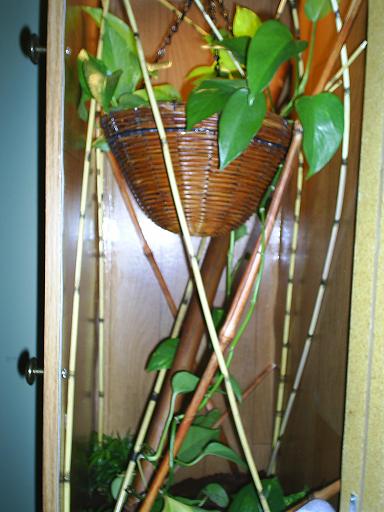lined leaftail section of new cage