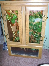 entire cage, closed