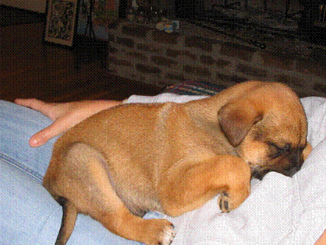 Sleepy Jack