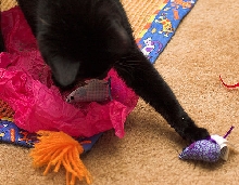 Mary McDhui Turns 1