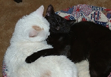 Chloe and Mary McDhui