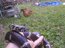 momma eastern'07