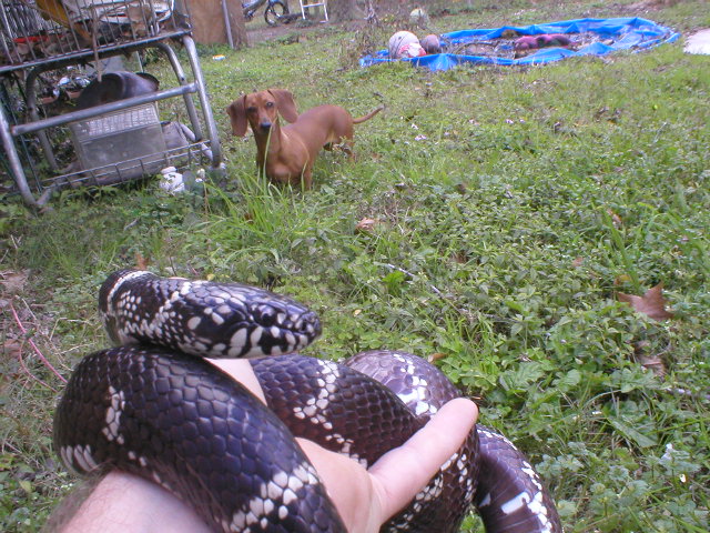 momma eastern'07