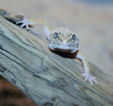 im watching you
